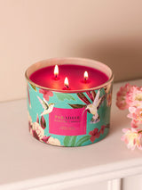 Next Paradise 3 Wick Candle- Buy online at McGrocer