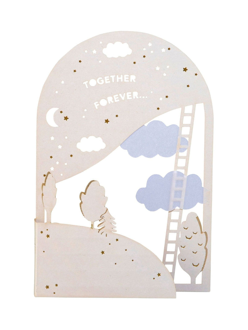 Hall & Co Together Forever 3D pop-up greeting card, UK version