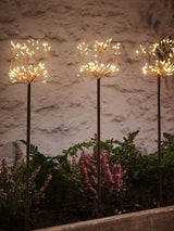 Next Lights4fun Copper Set of 2 Micro Light Flower Stake Lights- Buy online at McGrocer