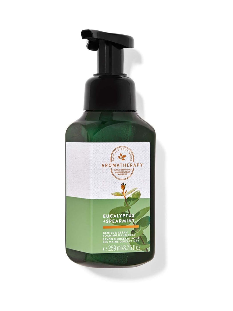 Moisturising Foam Hand Soap with Eucalyptus and Spearmint Scent 259 ml