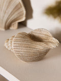 Natural rattan effect shell ornaments set of 3 (British brand)