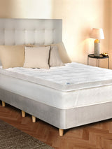 Next Sealy Deeply Full Mattress Topper- Buy online at McGrocer