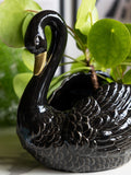 Rockett St George Black Swan ceramic planter, UK version