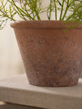 Pink-white artificial flowering plant in terracotta pot (British brand)