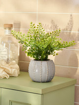 Next Green Artificial Fern in Ceramic Pot - 23cm- Buy online at McGrocer