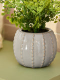 Artificial fern in ceramic pot 23cm, UK version