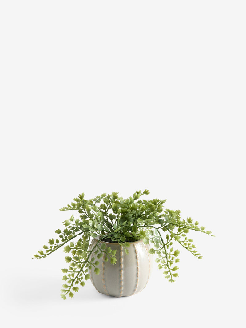 Artificial fern in ceramic pot 23cm, UK version
