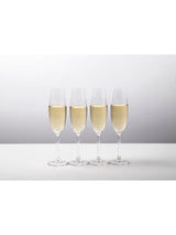 Next Mikasa Julie Clear Crystal Champagne Flute Glasses Set of 4- Buy online at McGrocer