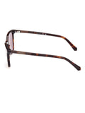 GANT brown dark Havana acetate sunglasses for women (British brand)