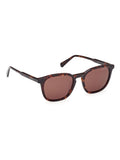 GANT dark havana classic sunglasses (British brand)