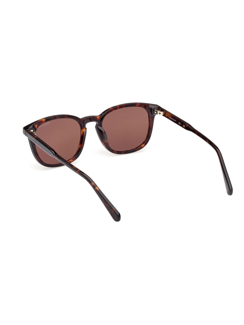 GANT dark havana classic sunglasses (British brand)