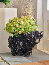 Next Bronze Hamish The Highland Cow Planter- Buy online at McGrocer