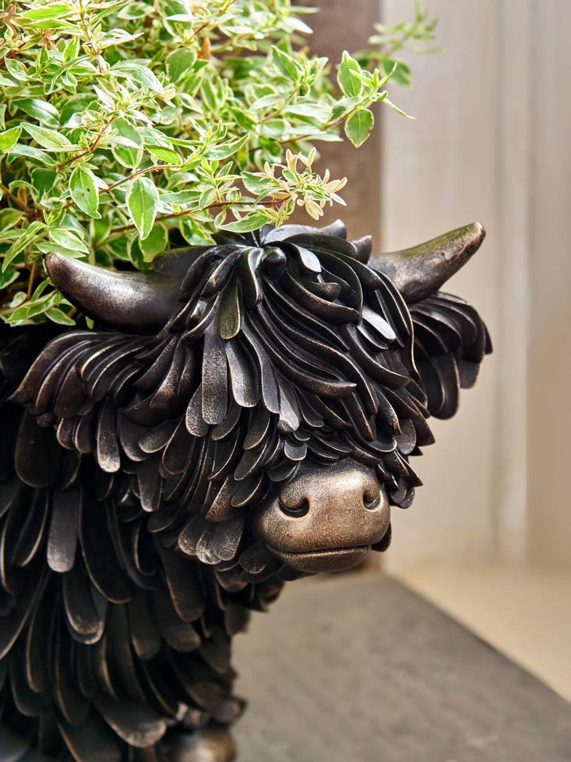 Bronze Hamish Highland Cow resin planter - British product