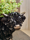 Bronze Hamish Highland Cow resin planter - British product