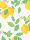 Graham & Brown Feeling Fruity wallpaper 10M (British brand)