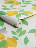 Graham & Brown Feeling Fruity wallpaper 10M (British brand)