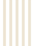 Style Sisters beige thin stripe wallpaper sample A4 (British brand)