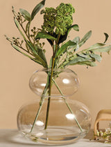 Next Anton Studio Designs Clear Eclipse Glass Vase Size ONE- Buy online at McGrocer