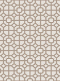 Galerie Bronze Brown Spring Blossom Lattice wallpaper 10m - British product