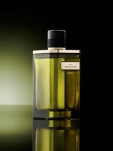 Next Signature Vert Eau de Parfum 100ml- Buy online at McGrocer
