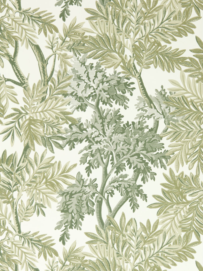 Sanderson wallpaper sample Green Tapestry Trees A4 (British brand)