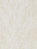 Sanderson Natural Meadow wallpaper sample A4, UK version