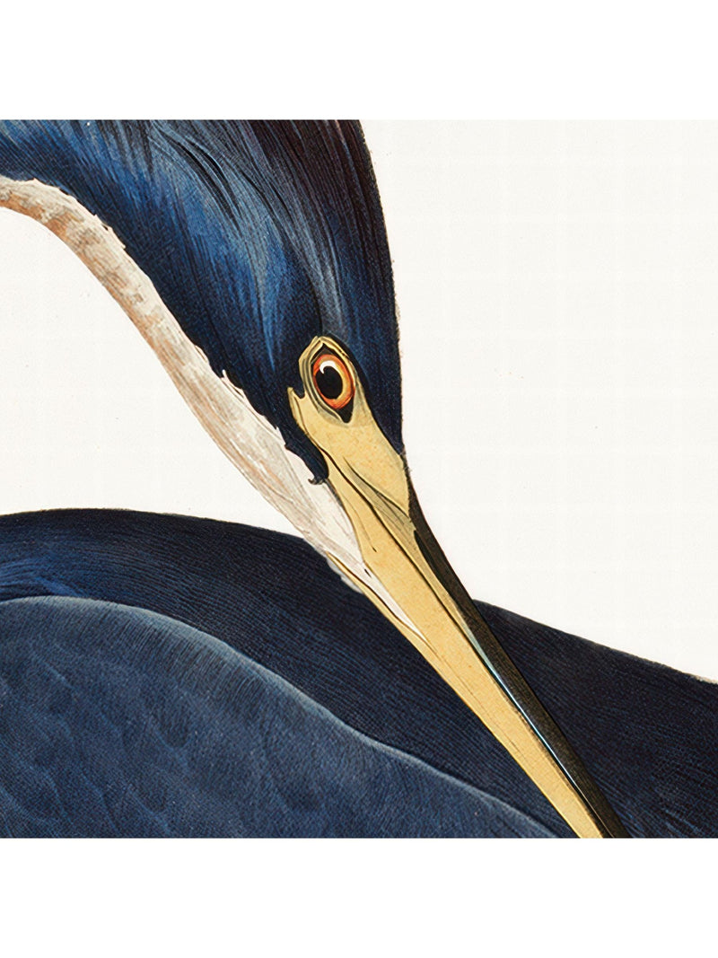 Louisiana heron wall art with blue green plumage, 76x88cm - British product