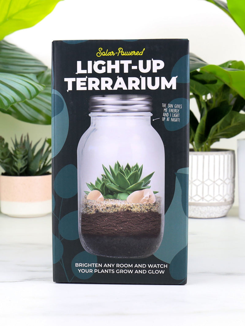 Gift Republic Blue Light Up Terrarium kit - British product