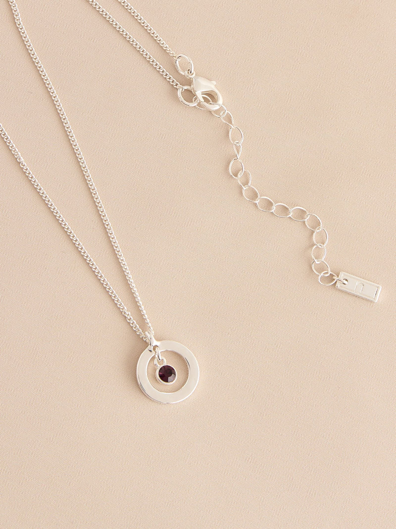 Silver-tone birthstone disc drop necklace (British brand)
