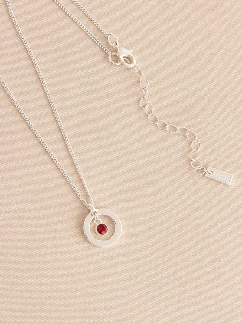 Silver-tone birthstone disc drop necklace (British brand)