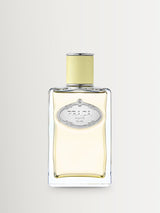 Next Prada Infusion de Gingembre Eau de Parfum 100ml- Buy online at McGrocer