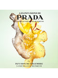 Prada Infusion de Gingembre eau de parfum 100ml, imported from the UK