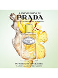 Prada Infusion de Gingembre eau de parfum 100ml, imported from the UK