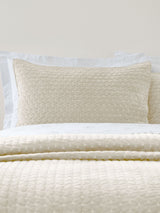 Next Bianca Natural Attica Velvet Embroidered Pillow Sham Pair- Buy online at McGrocer