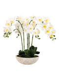 Gallery Home white oversized orchid in cement style pot 65cm, UK version