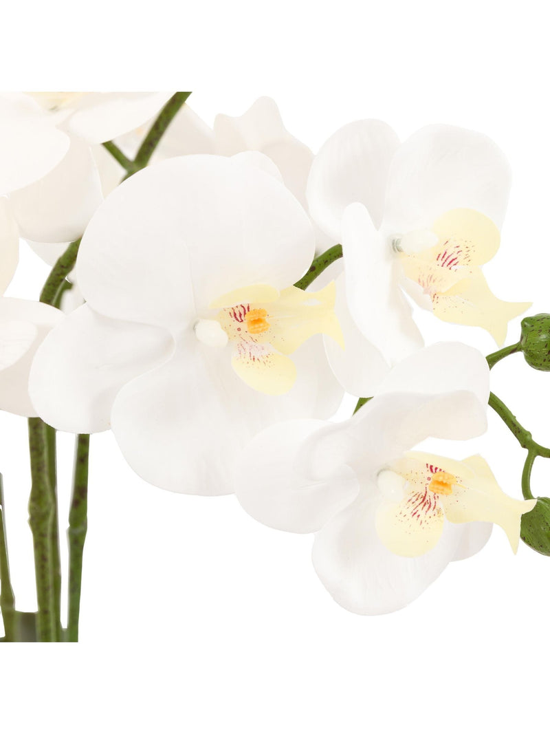 Gallery Home white oversized orchid in cement style pot 65cm, UK version