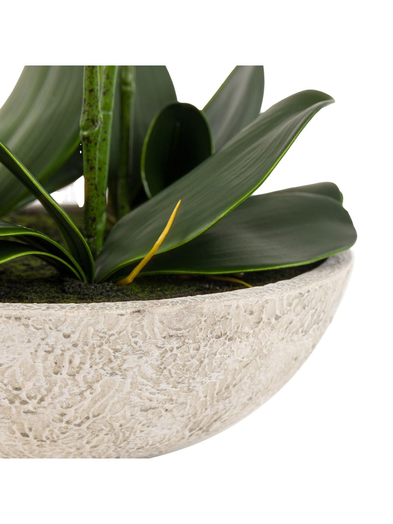 Gallery Home white oversized orchid in cement style pot 65cm, UK version