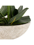 Gallery Home white oversized orchid in cement style pot 65cm, UK version