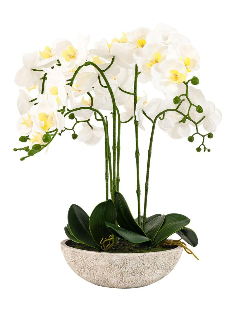 Gallery Home white oversized orchid in cement style pot 65cm, UK version