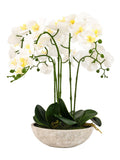 Gallery Home white oversized orchid in cement style pot 65cm, UK version