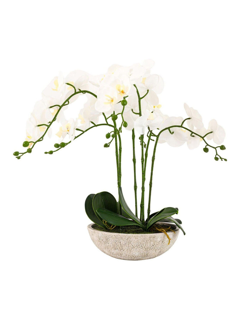 Gallery Home white oversized orchid in cement style pot 65cm, UK version