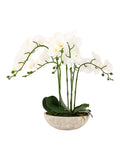 Gallery Home white oversized orchid in cement style pot 65cm, UK version