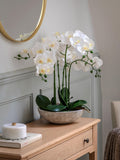 Gallery Home white oversized orchid in cement style pot 65cm, UK version