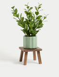 Wooden planter stand for indoor plants (British brand)