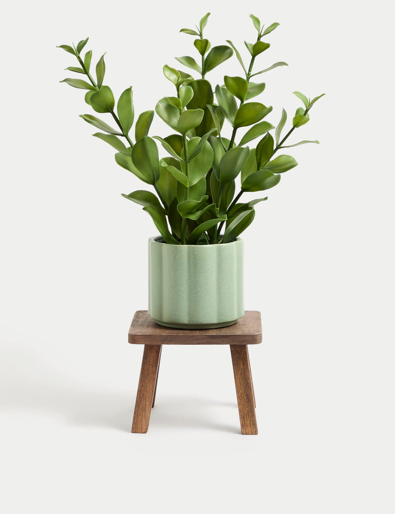 Wooden planter stand for indoor plants (British brand)