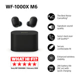 Sony WF-1000XM6 noise cancelling earbuds (British brand)