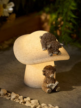 Next Natural Hamish on Toadstool Outdoor Solar Light- Buy online at McGrocer