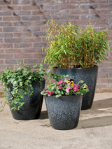 Next Decoris Set of 3 Felix Plastic Planters- Buy online at McGrocer
