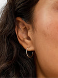 Accessorize small hoop earrings - British product
