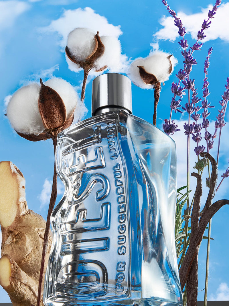 Diesel D Eau de Toilette gift set 50ml, UK version